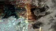 Untitled, Video Art whose destiny is the top art galleries in New York City, Hong Kong, London, Paris and Rome.